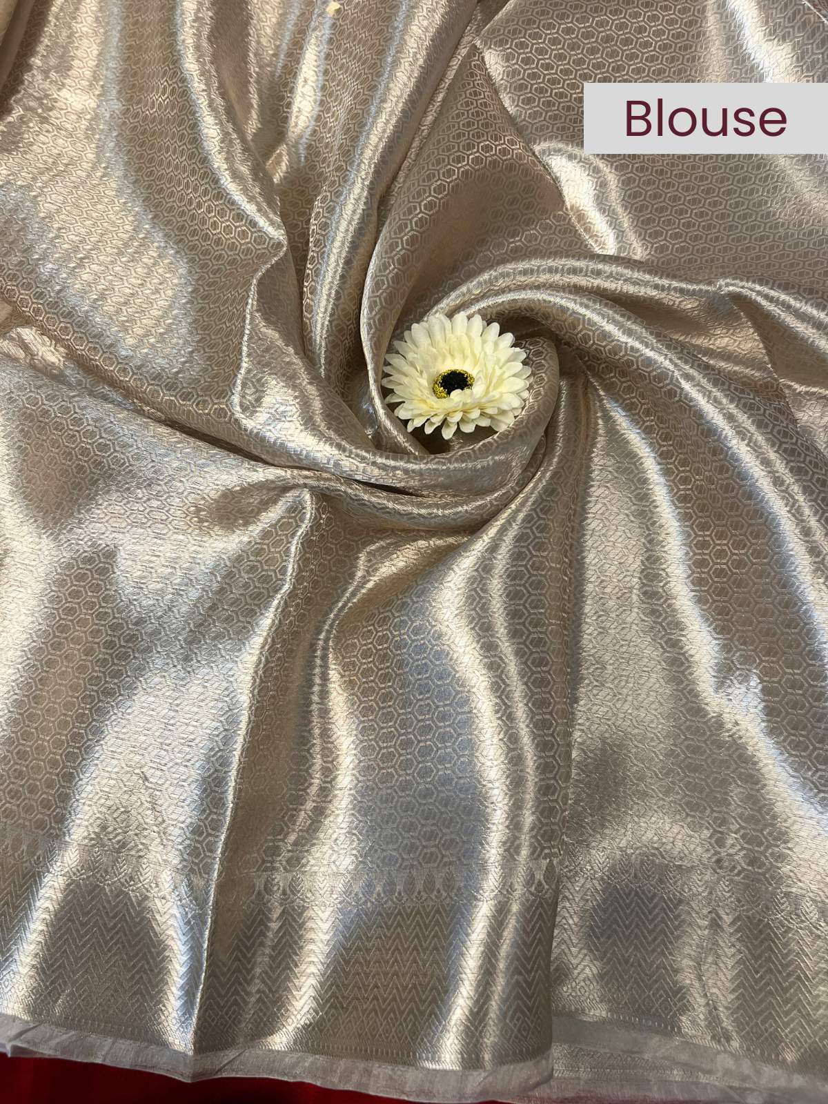 Champagne Silver Brocade Tissue Silk