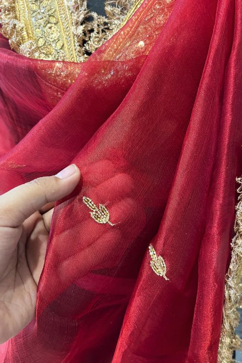 Red Hand Embroidered Tissue Silk Dupatta