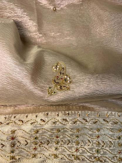 Champagne Gold Crush Tissue Silk Saree Maharani Noor with hand embroidery Closeup view 02