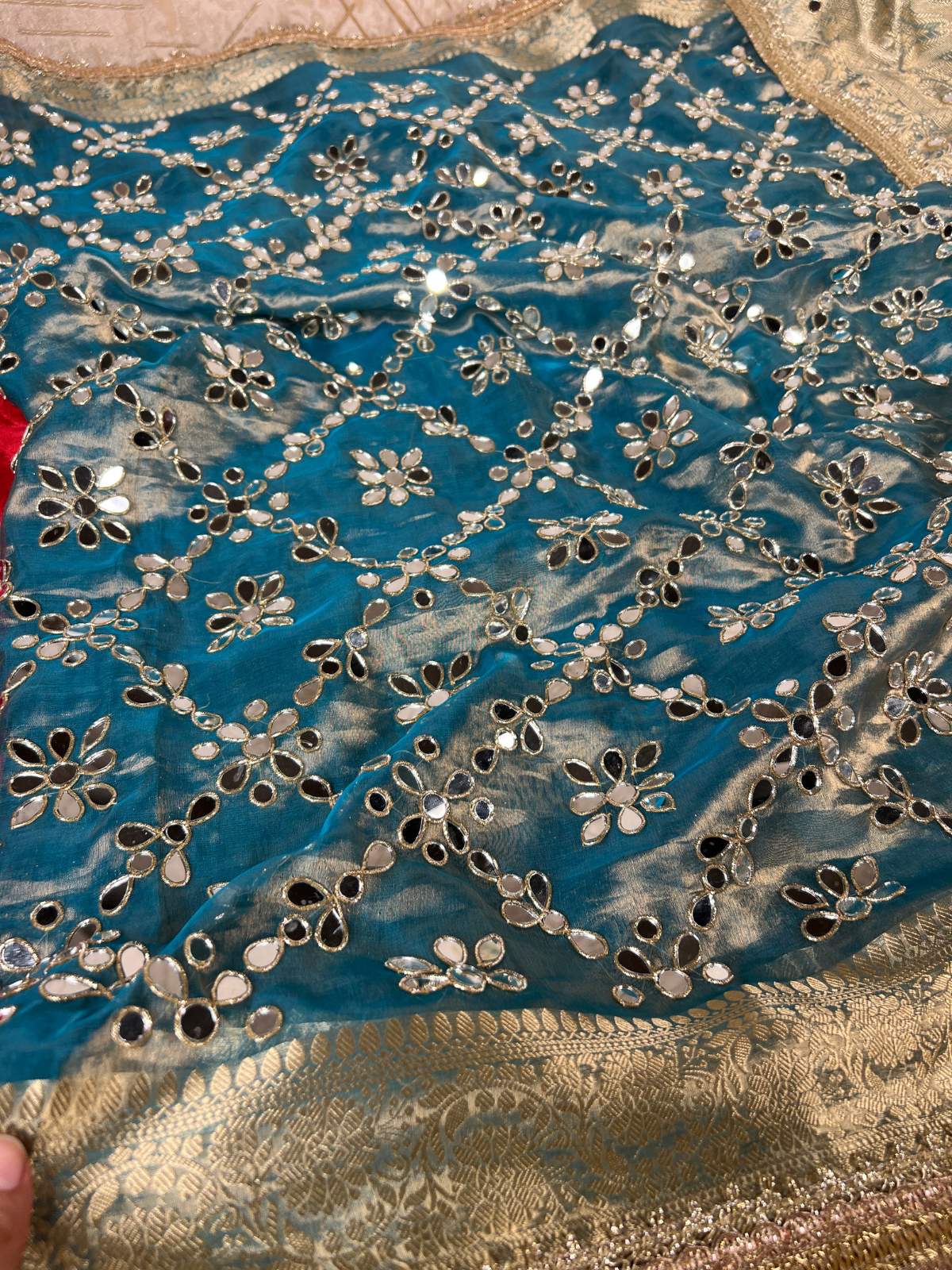 Powder Blue Tissue Silk Saree Aaina Banarasi With Hand Embroidery Closeup View 01
