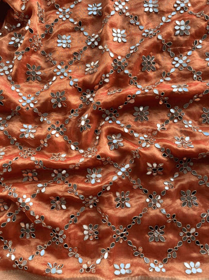Orange Tissue Silk Saree - Aaina Close up View
